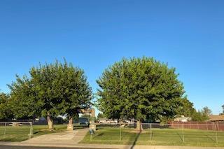 4326 Evelyn Dr, Olivehurst, CA 95961 photo 29