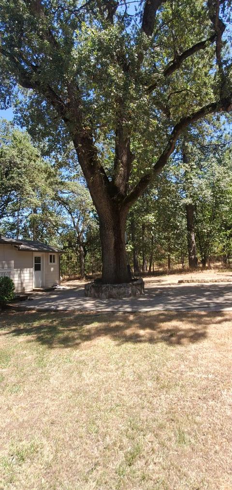 4711 Oak Hill Rd, Placerville, CA 95667 photo 12