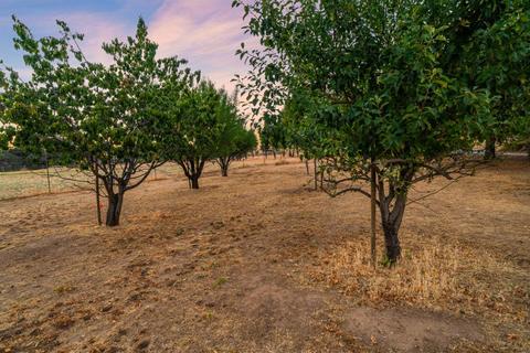 3244 Willow Gln, Placerville, CA 95667 photo 53