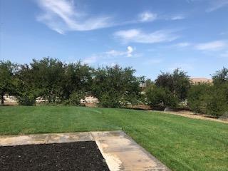 9720 Stablegate Rd, Wilton, CA 95693 photo 6