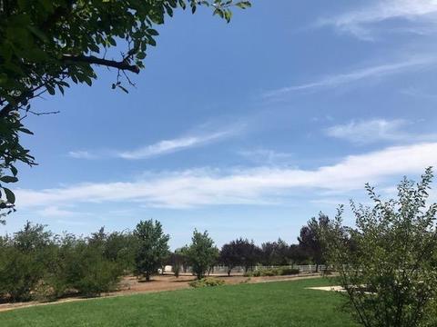 9720 Stablegate Rd, Wilton, CA 95693 photo 29