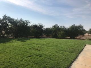 9720 Stablegate Rd, Wilton, CA 95693 photo 5