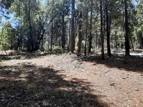 3514 E Hwy 4, Murphys, CA 95247 photo 10