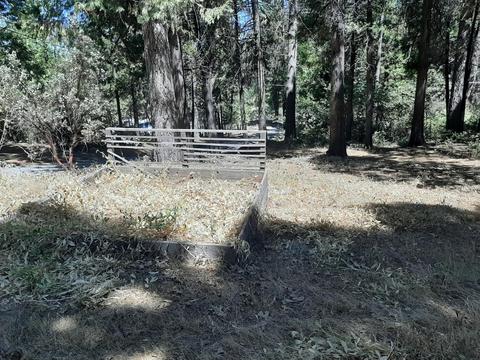 3514 E Hwy 4, Murphys, CA 95247 photo 8
