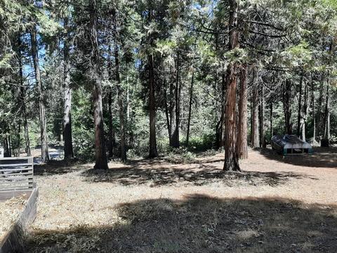 3514 E Hwy 4, Murphys, CA 95247 photo 9