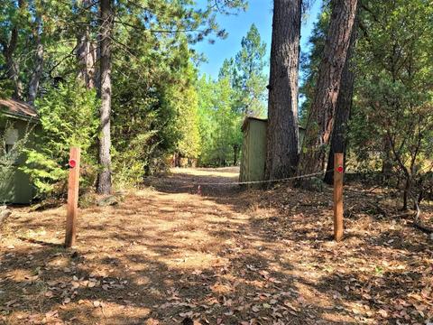 277 Cemetery Ln, West Point, CA 95255 photo 4