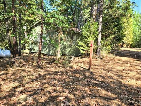 277 Cemetery Ln, West Point, CA 95255 photo 3