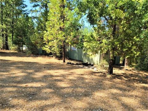 277 Cemetery Ln, West Point, CA 95255 photo 2