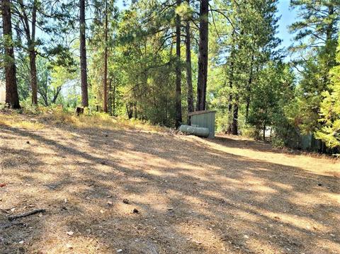 277 Cemetery Ln, West Point, CA 95255 photo 5