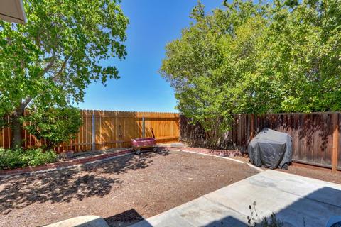 4337 Frontera Dr, Davis, CA 95618 photo 40