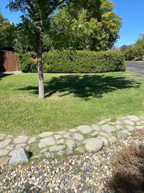 2309 Walnut Ave, Carmichael, CA 95608 photo 46