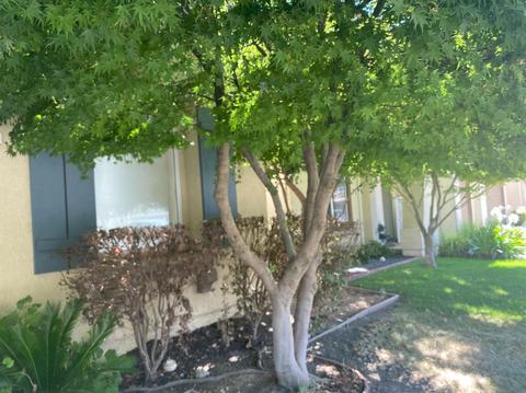 1260 Verdon Ct, Merced, CA 95348 photo 2