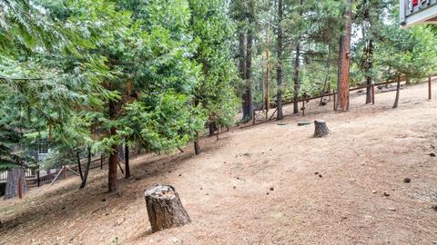 5120 Coot Rd, Placerville, CA 95667 photo 24