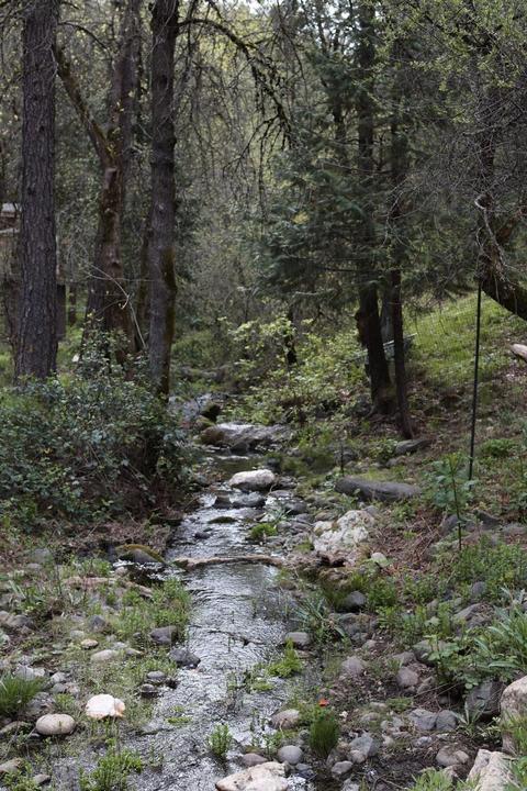 4120 Snows Rd, Placerville, CA 95667 photo 11