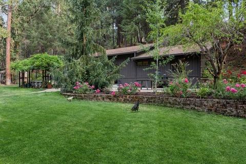 4120 Snows Rd, Placerville, CA 95667 photo 3