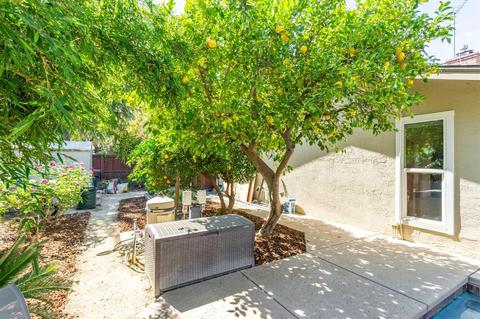 1104 Los Robles St, Davis, CA 95618 photo 40