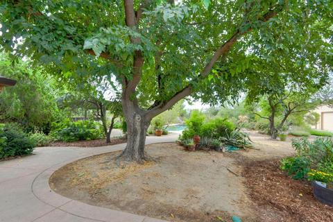 39887 Barry Rd, Davis, CA 95616 photo 41