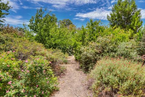39887 Barry Rd, Davis, CA 95616 photo 63