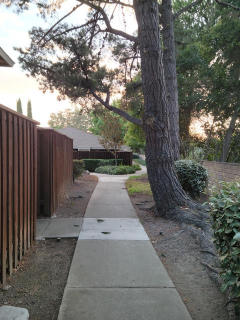 2095 Olivera Rd #B, Concord, CA 94520 photo 3