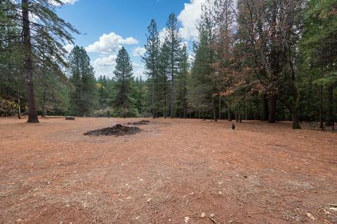 23220 Lark Ln, Volcano, CA 95689 photo 24