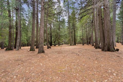 23220 Lark Ln, Volcano, CA 95689 photo 25