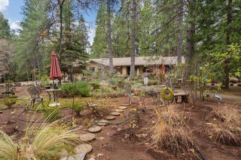 23220 Lark Ln, Volcano, CA 95689 photo 26