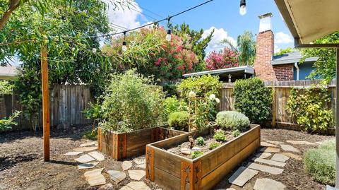 920 Park St, Lodi, CA 95240 photo 37