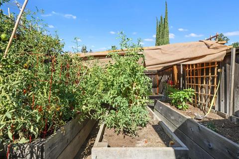425 Steven Pl, Lathrop, CA 95330 photo 37