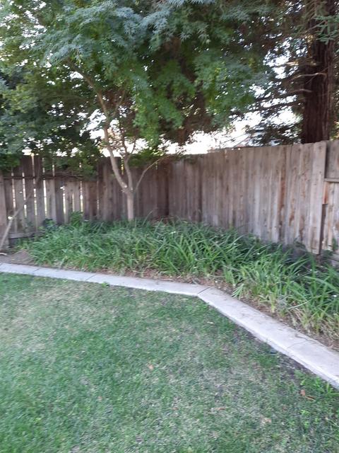 1462 Junewood Pl, Manteca, CA 95336 photo 27