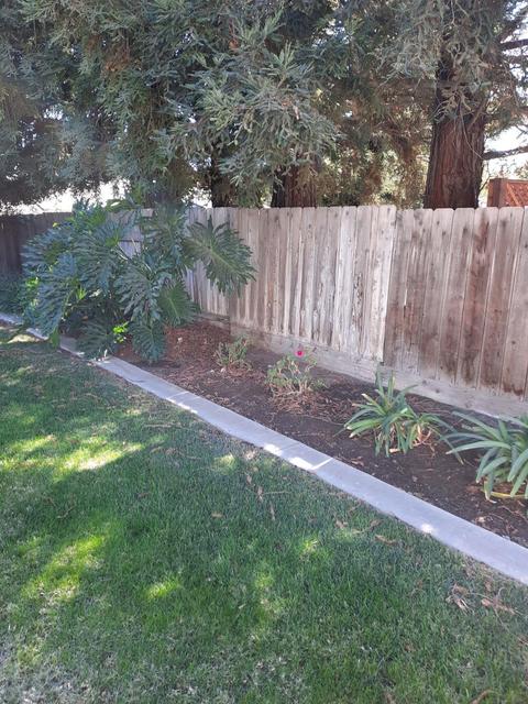 1462 Junewood Pl, Manteca, CA 95336 photo 26