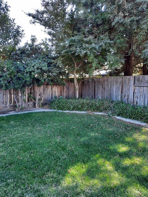 1462 Junewood Pl, Manteca, CA 95336 photo 25