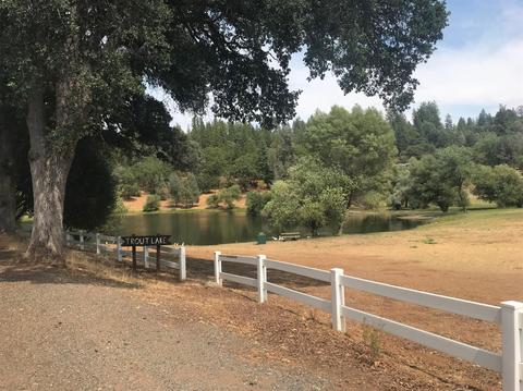 6694 Peycos Dr, Placerville, CA 95667 photo 51