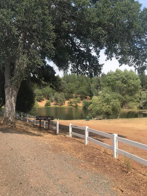 6694 Peycos Dr, Placerville, CA 95667 photo 50