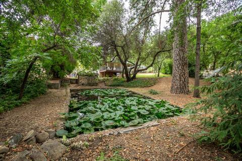 6555 Mother Lode Dr, Placerville, CA 95667 photo 21