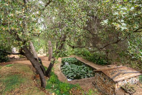 6555 Mother Lode Dr, Placerville, CA 95667 photo 19