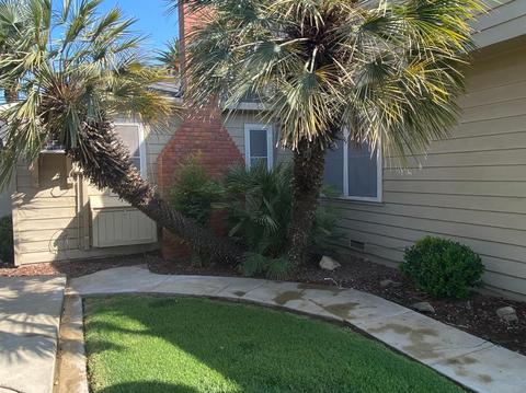 772 E Las Palmas Ave, Patterson, CA 95363 photo 45