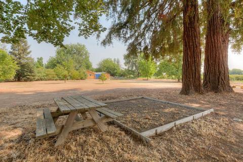 450 Sheldon Ave, Gridley, CA 95948 photo 58