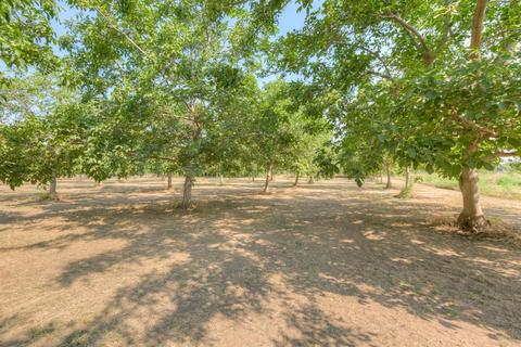 450 Sheldon Ave, Gridley, CA 95948 photo 56