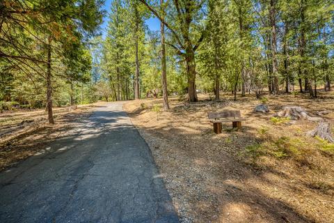 6505 Log Cabin Ln, Placerville, CA 95667 photo 38
