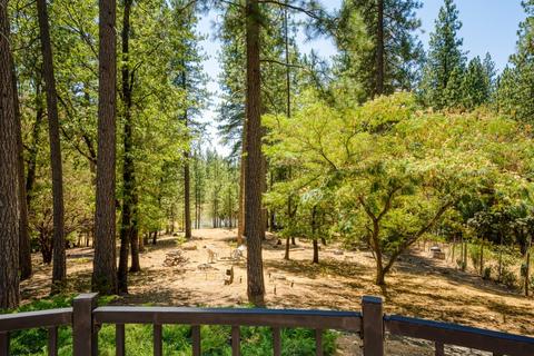 6505 Log Cabin Ln, Placerville, CA 95667 photo 22