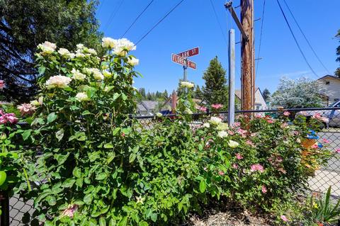 392 Clark St, Grass Valley, CA 95945 photo 28