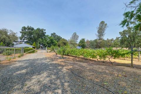 5490 Quail Valley Rd, Placerville, CA 95667 photo 59