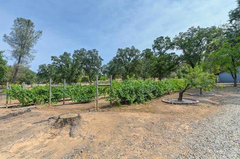5490 Quail Valley Rd, Placerville, CA 95667 photo 6