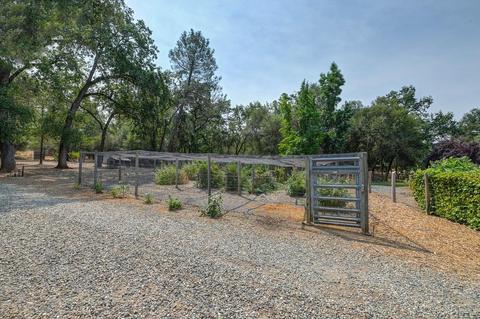 5490 Quail Valley Rd, Placerville, CA 95667 photo 54