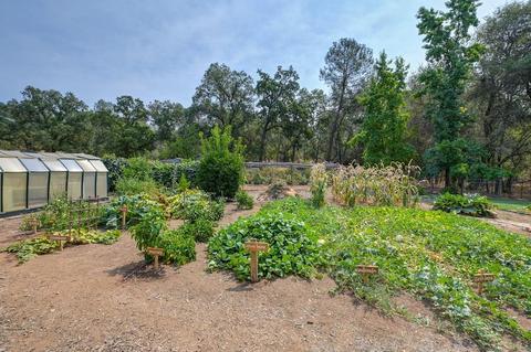 5490 Quail Valley Rd, Placerville, CA 95667 photo 4