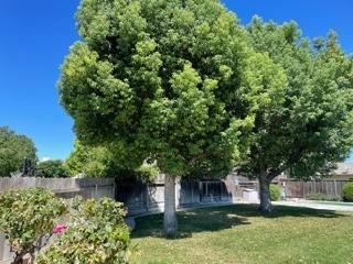 3949 Blaker Rd, Ceres, CA 95307 photo 47