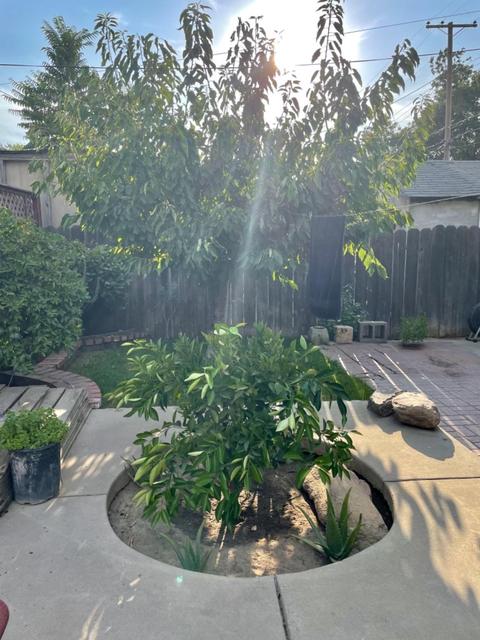 313 Eden, Lodi, CA 95240 photo 8