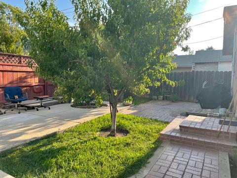 313 Eden, Lodi, CA 95240 photo 7