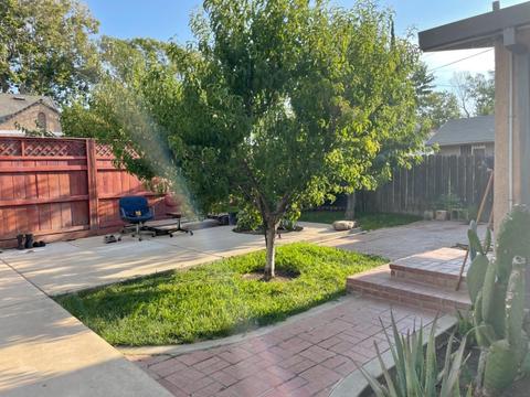 313 Eden, Lodi, CA 95240 photo 6