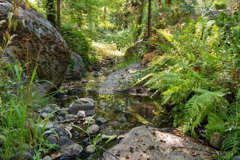 2000 Shadow Run Rd, Placerville, CA 95667 photo 23
